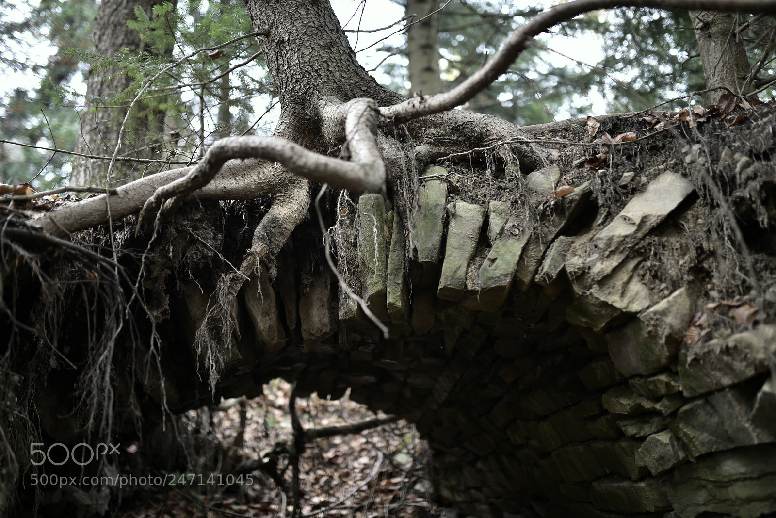 Nikon D750 + Sigma 35mm F1.4 DG HSM Art sample photo. Dsc photography