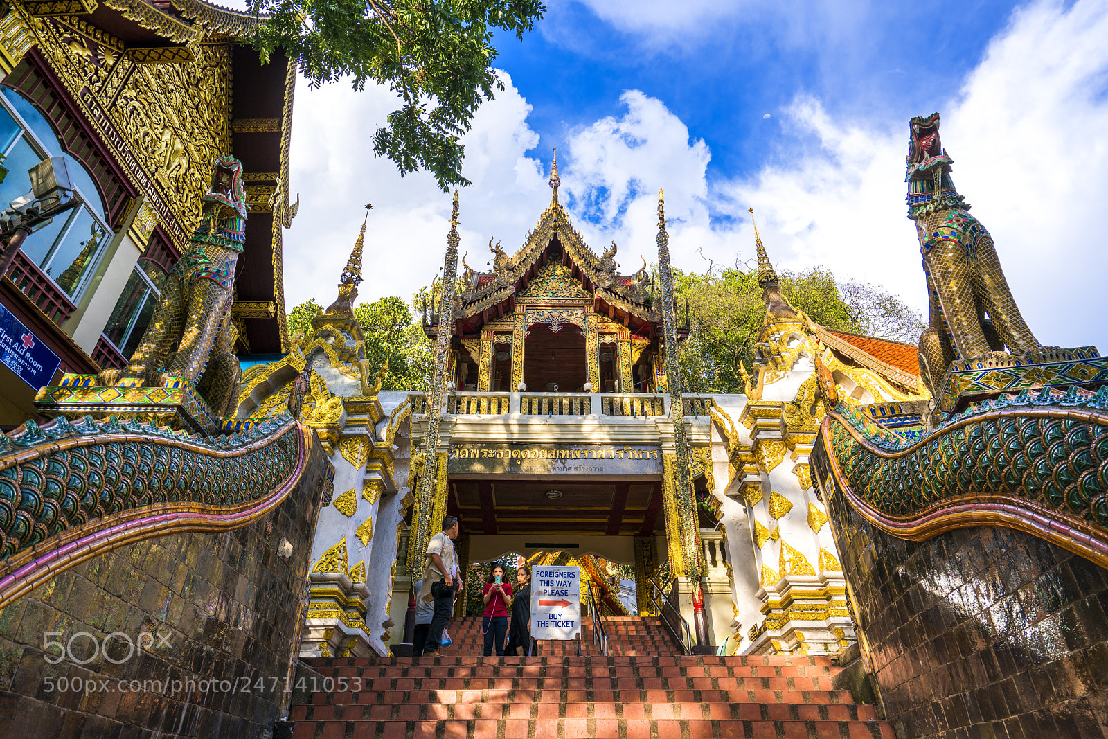 Sony a7R II sample photo. Dsc photography