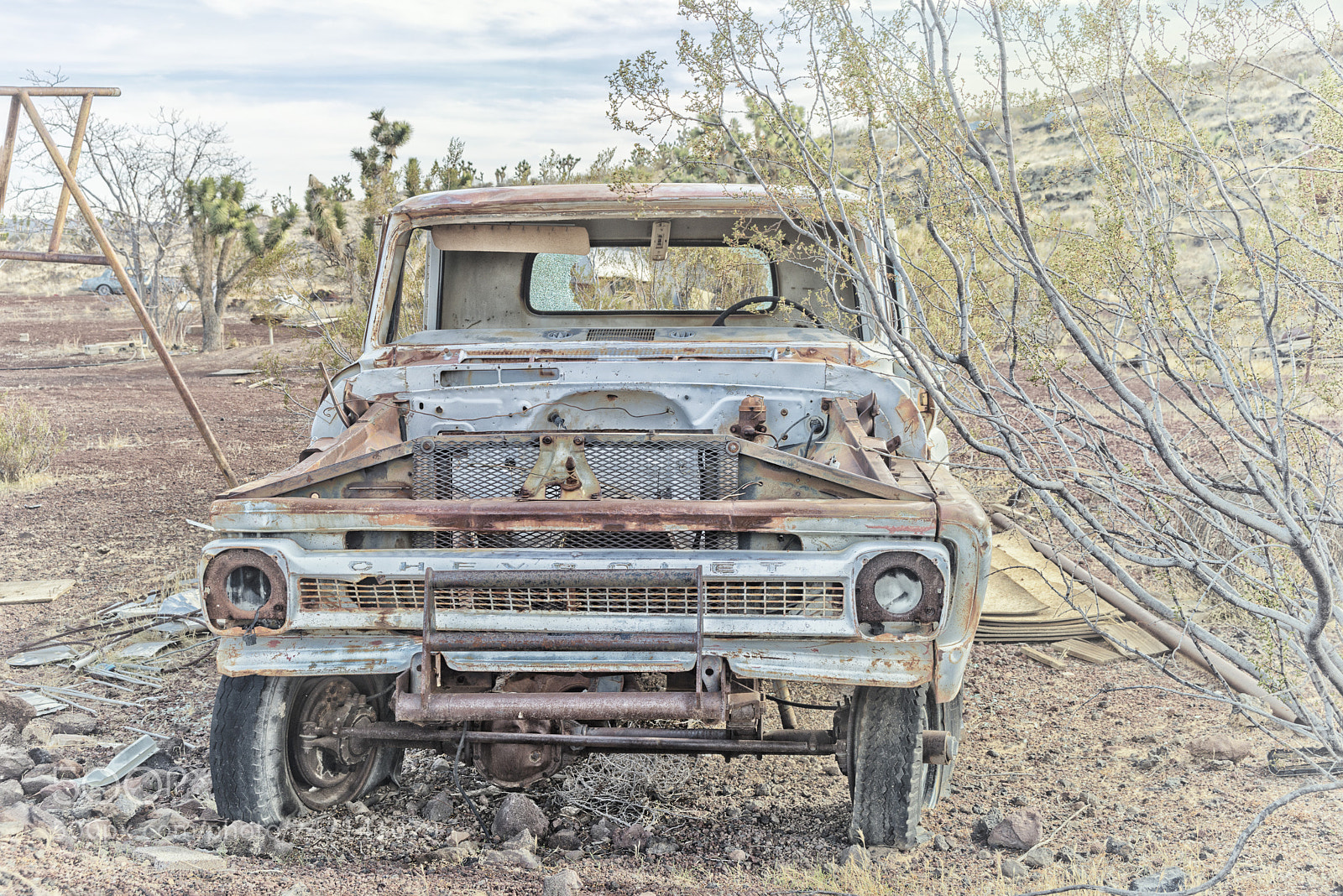 Nikon D800 sample photo. Chevy in the creosote photography