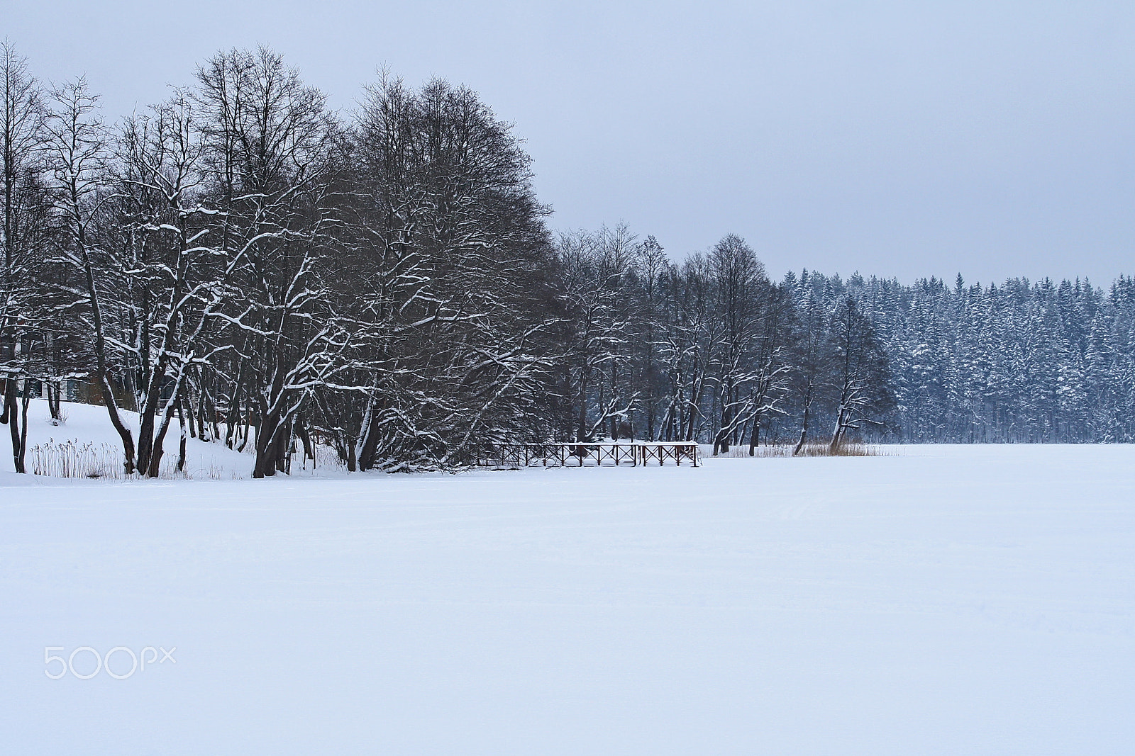 Canon EOS 1000D (EOS Digital Rebel XS / EOS Kiss F) sample photo. Snowfield photography