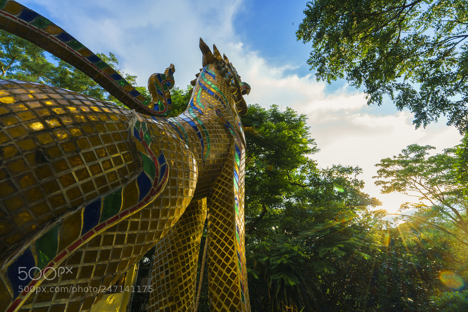 Sony a7R II sample photo. Dsc photography