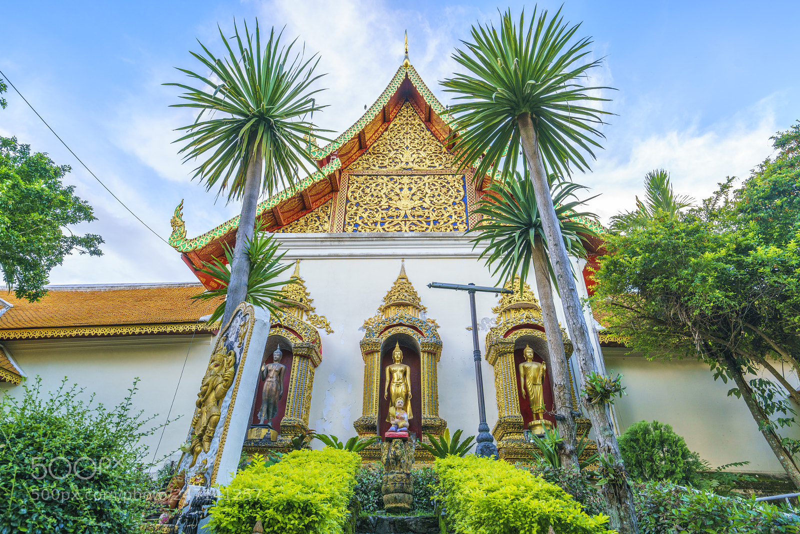 Sony a7R II sample photo. Dsc photography