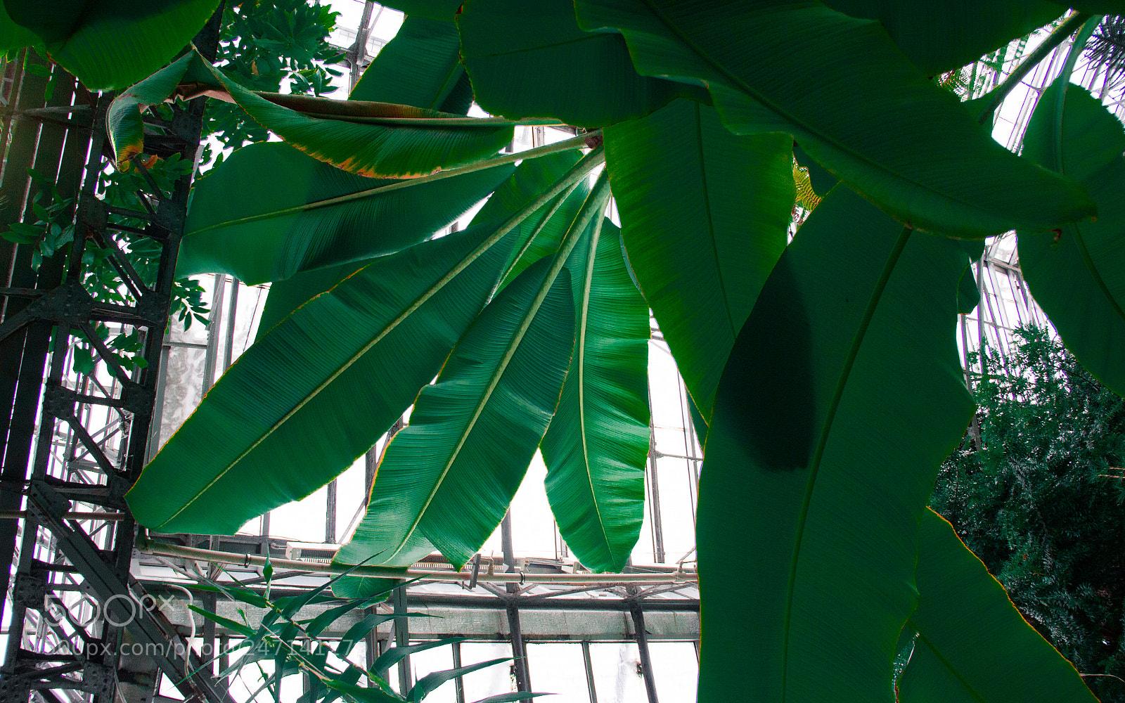 Canon EOS 60D sample photo. Untitled photography