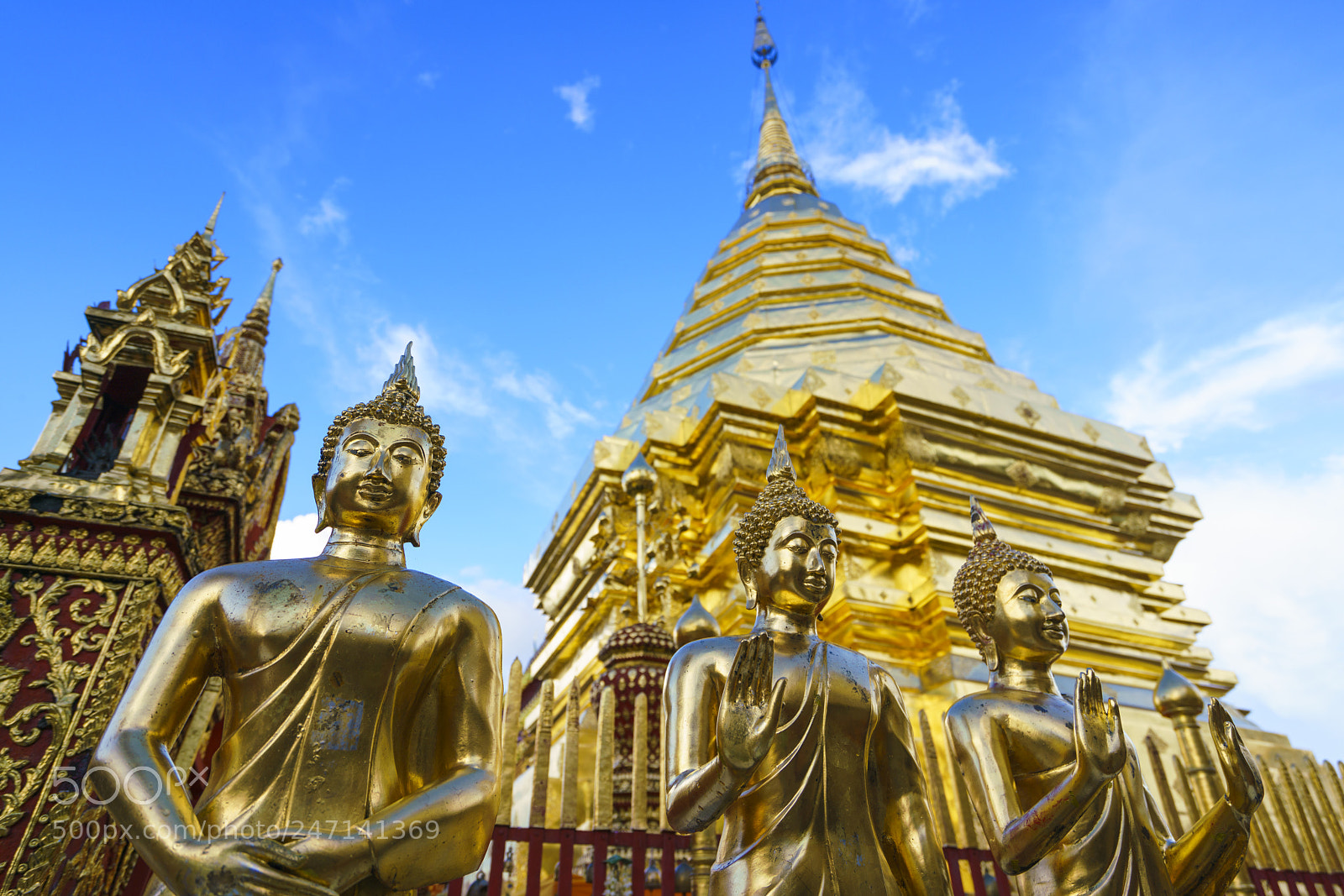 Sony a7R II sample photo. Dsc photography