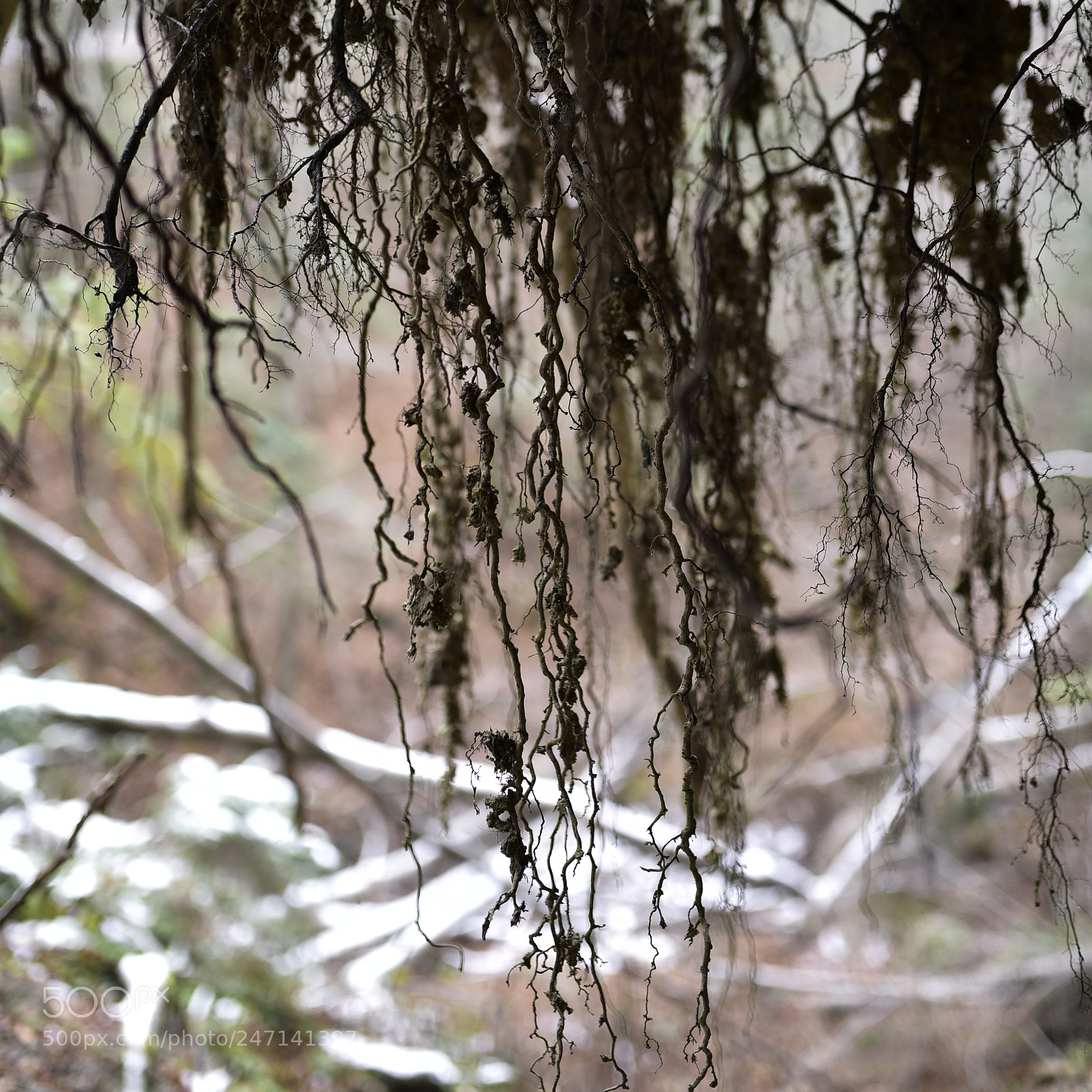 Sigma 35mm F1.4 DG HSM Art sample photo. Dsc photography