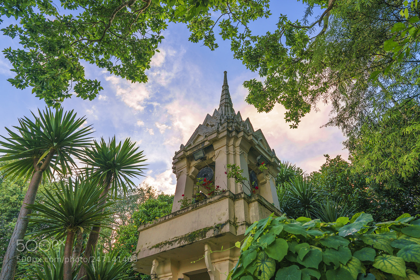 Sony a7R II sample photo. Dsc photography
