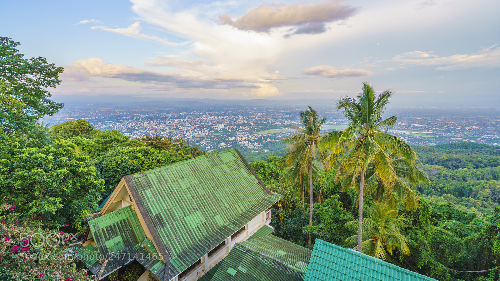 Sony a7R II sample photo. Dsc photography