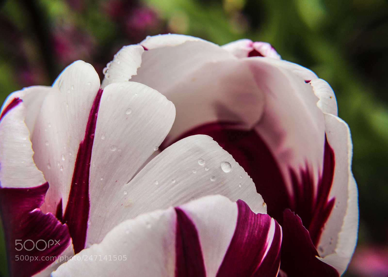 Canon EOS 700D (EOS Rebel T5i / EOS Kiss X7i) sample photo. Time for a new photography