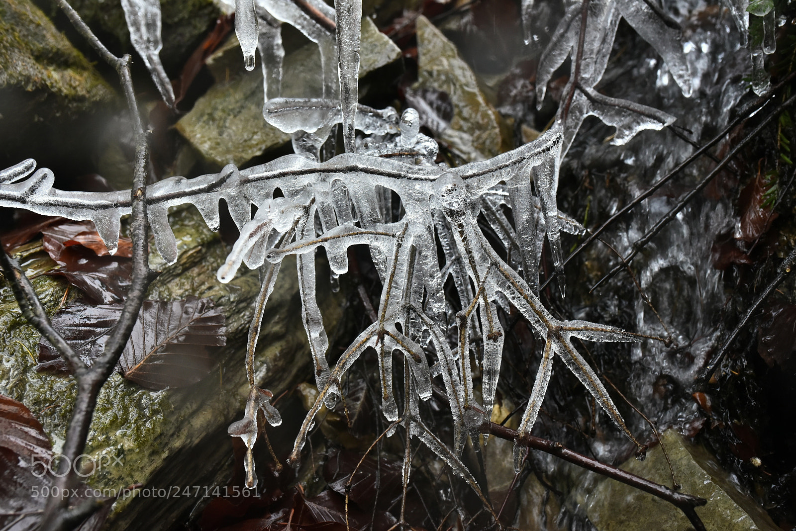 Nikon D750 + Sigma 35mm F1.4 DG HSM Art sample photo. Dsc photography