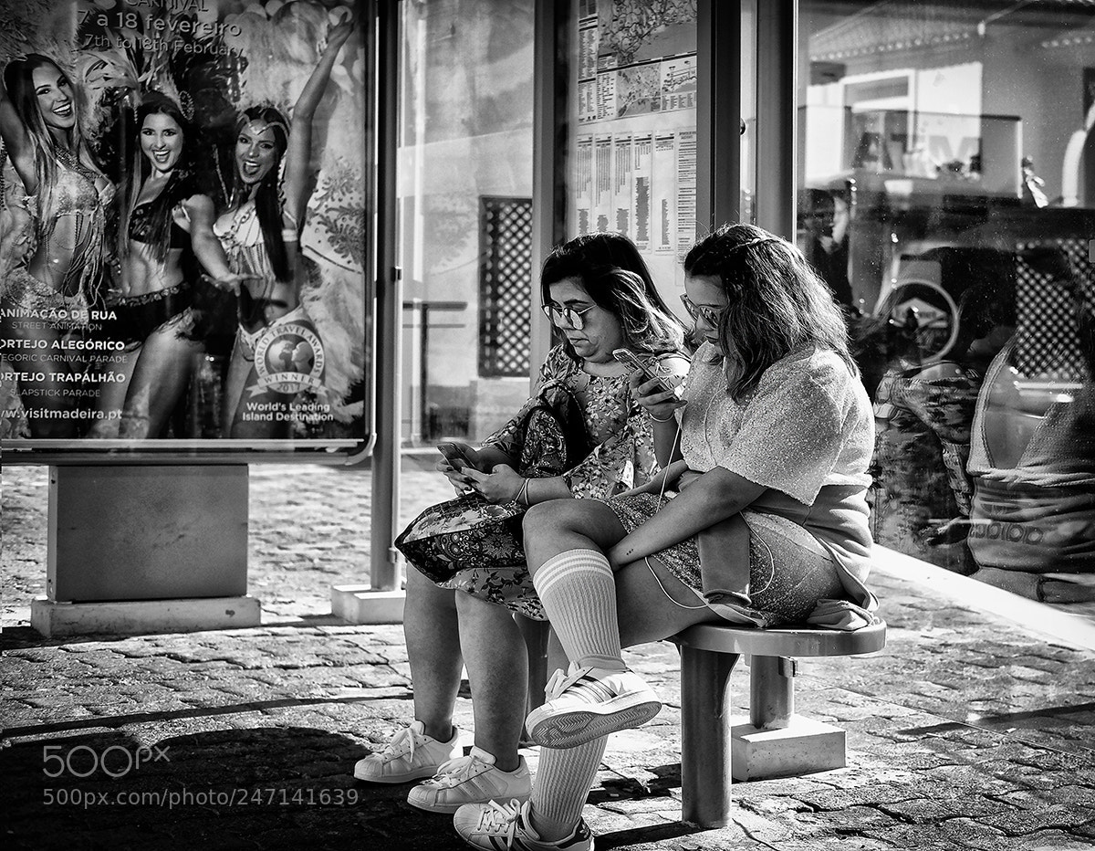 Fujifilm X-T20 sample photo. Untitled photography