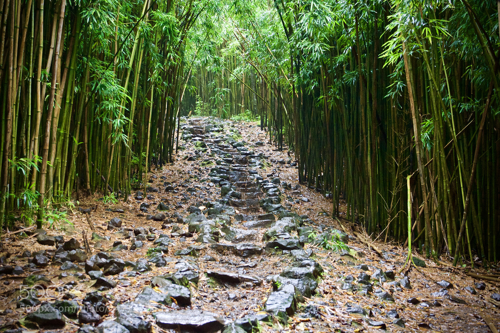Sony Alpha NEX-7 sample photo. Stone pathway photography