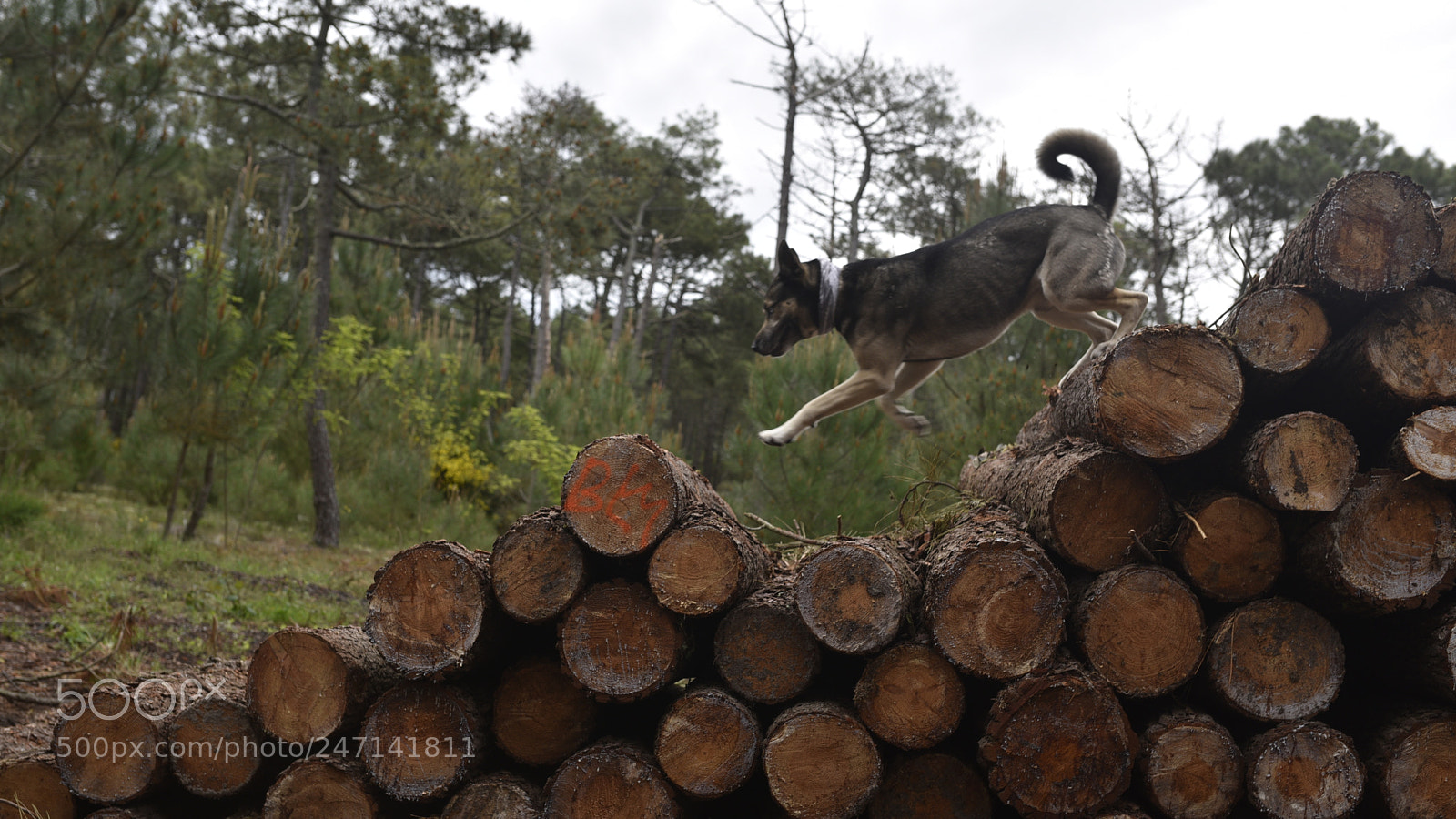 Sigma 35mm F1.4 DG HSM Art sample photo. Dsc photography