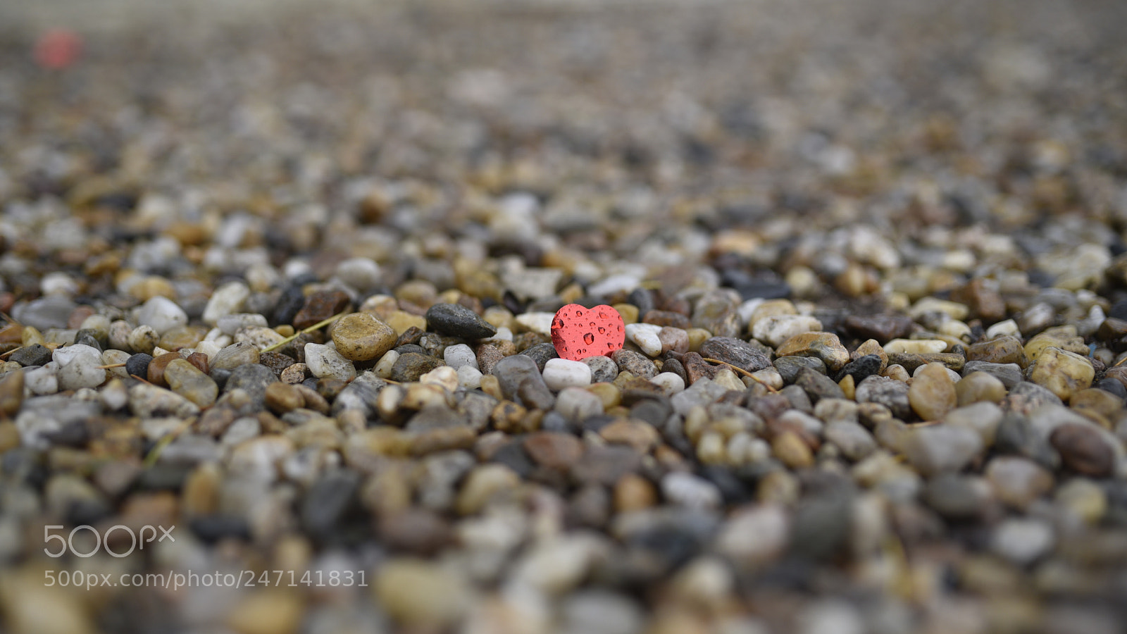 Nikon D750 + Sigma 35mm F1.4 DG HSM Art sample photo. Dsc photography