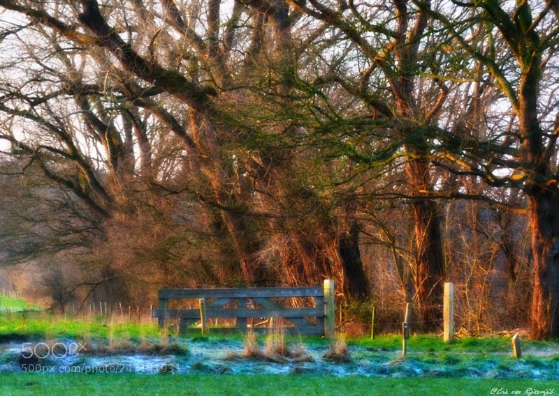 Nikon D3100 sample photo. Untitled photography