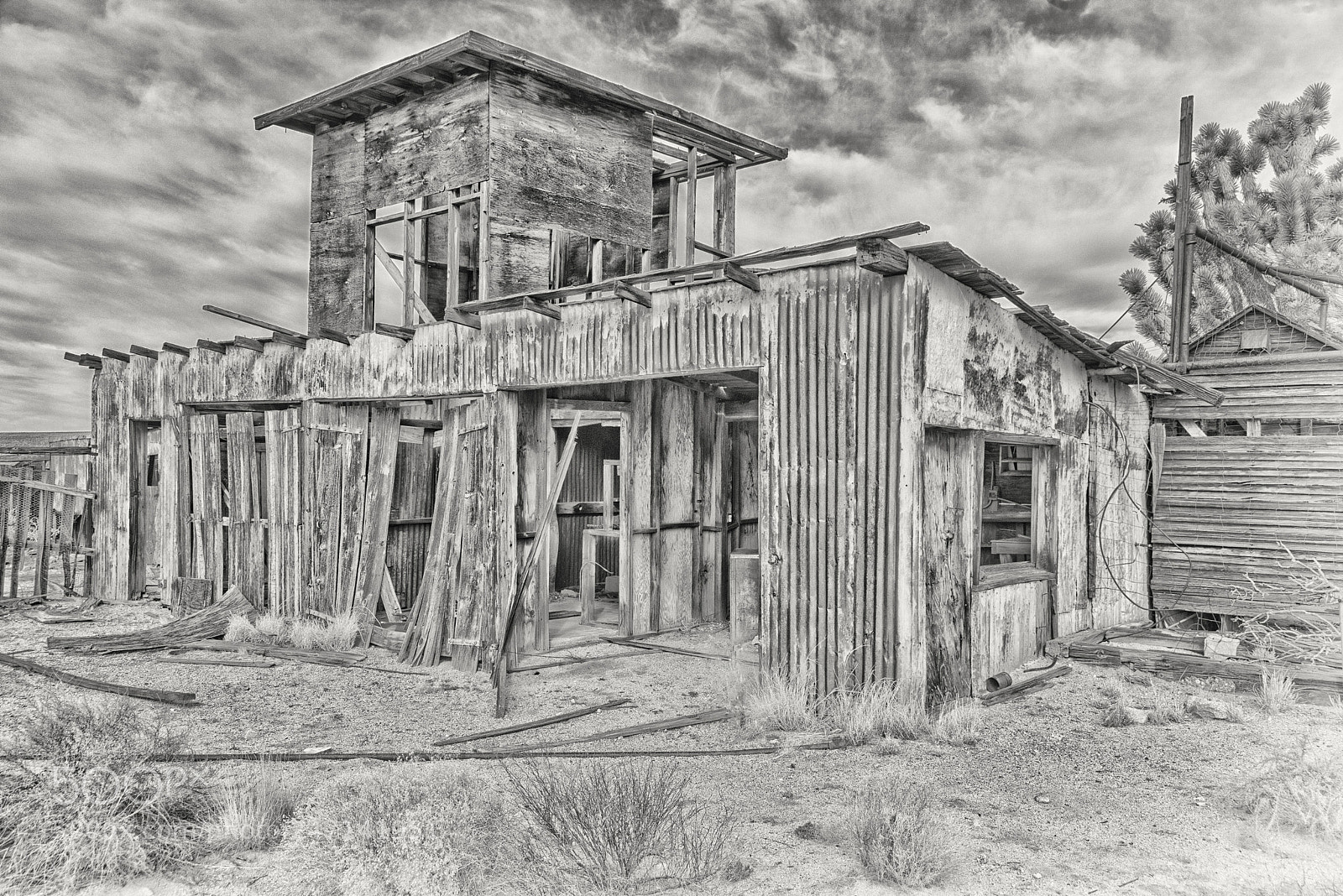 Nikon D800 sample photo. Barn photography