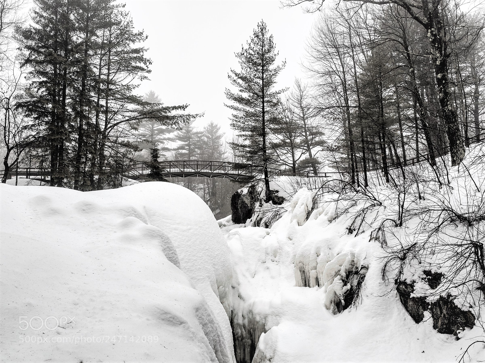 Olympus OM-D E-M5 II sample photo. Winter landscape photography