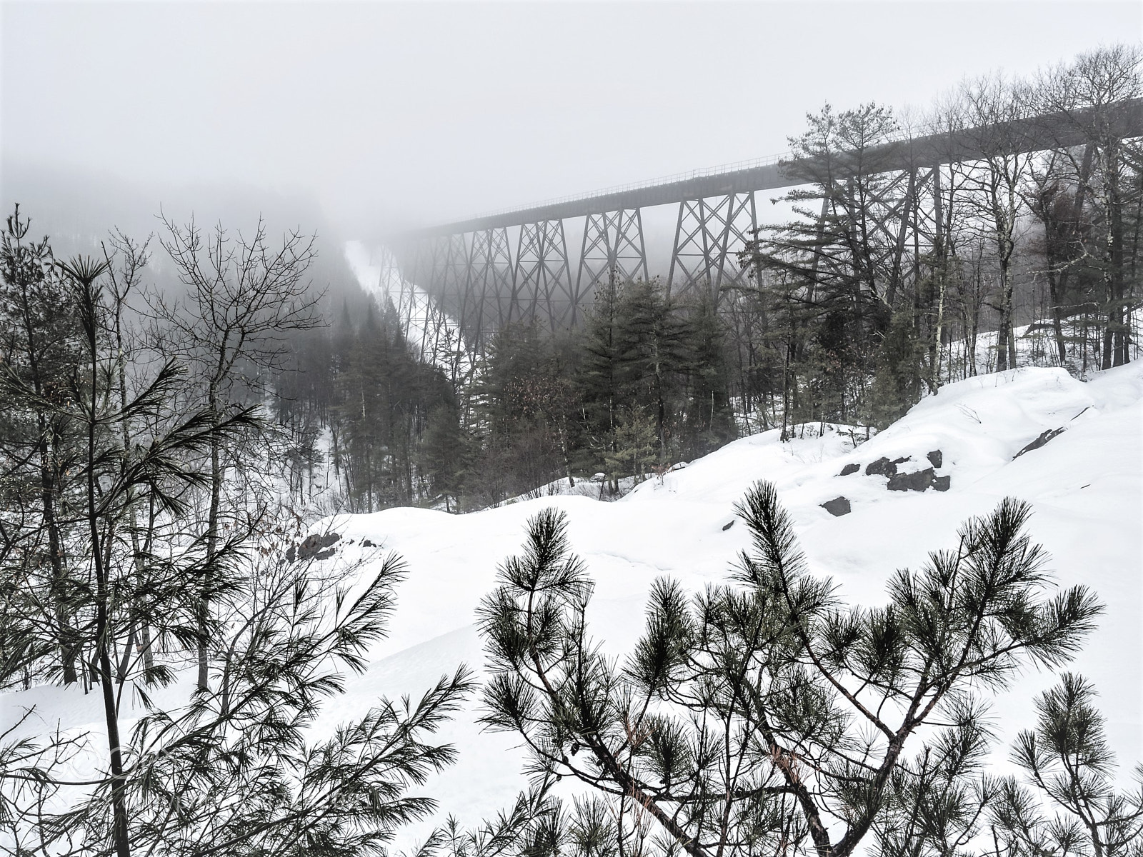 Olympus OM-D E-M5 II sample photo. Winter landscape photography