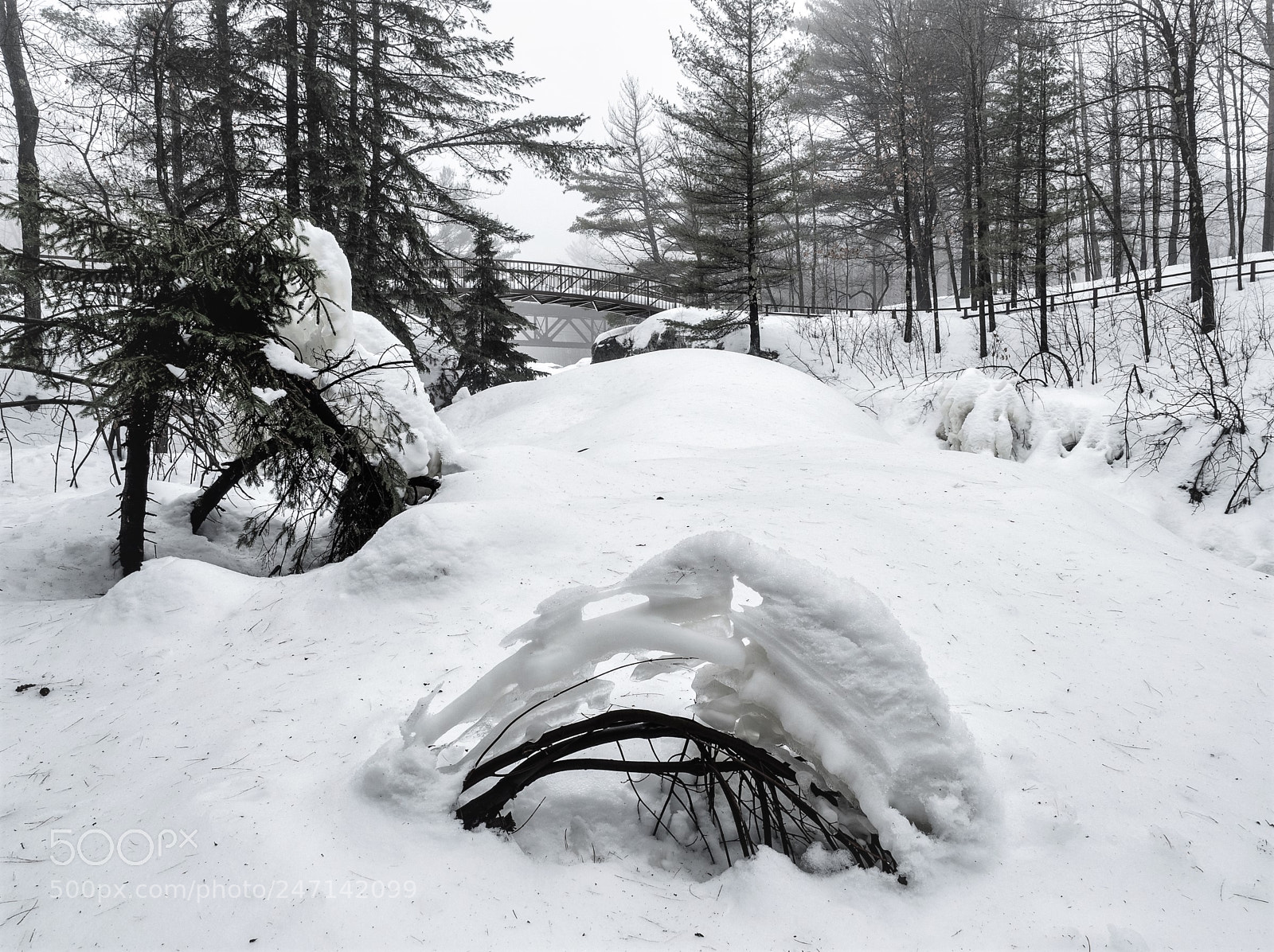 Olympus OM-D E-M5 II sample photo. Winter landscape photography