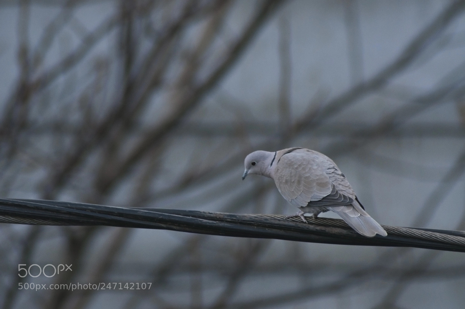 Nikon D90 sample photo. Untitled photography