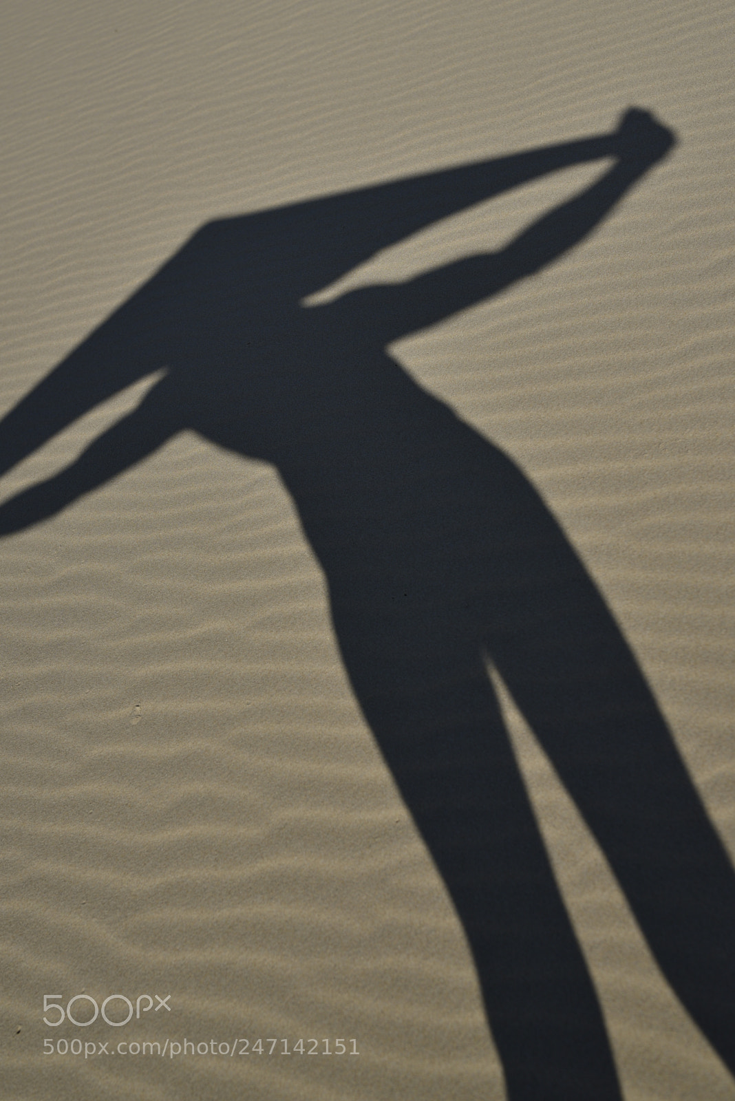 Nikon D750 + Sigma 35mm F1.4 DG HSM Art sample photo. Dsc photography
