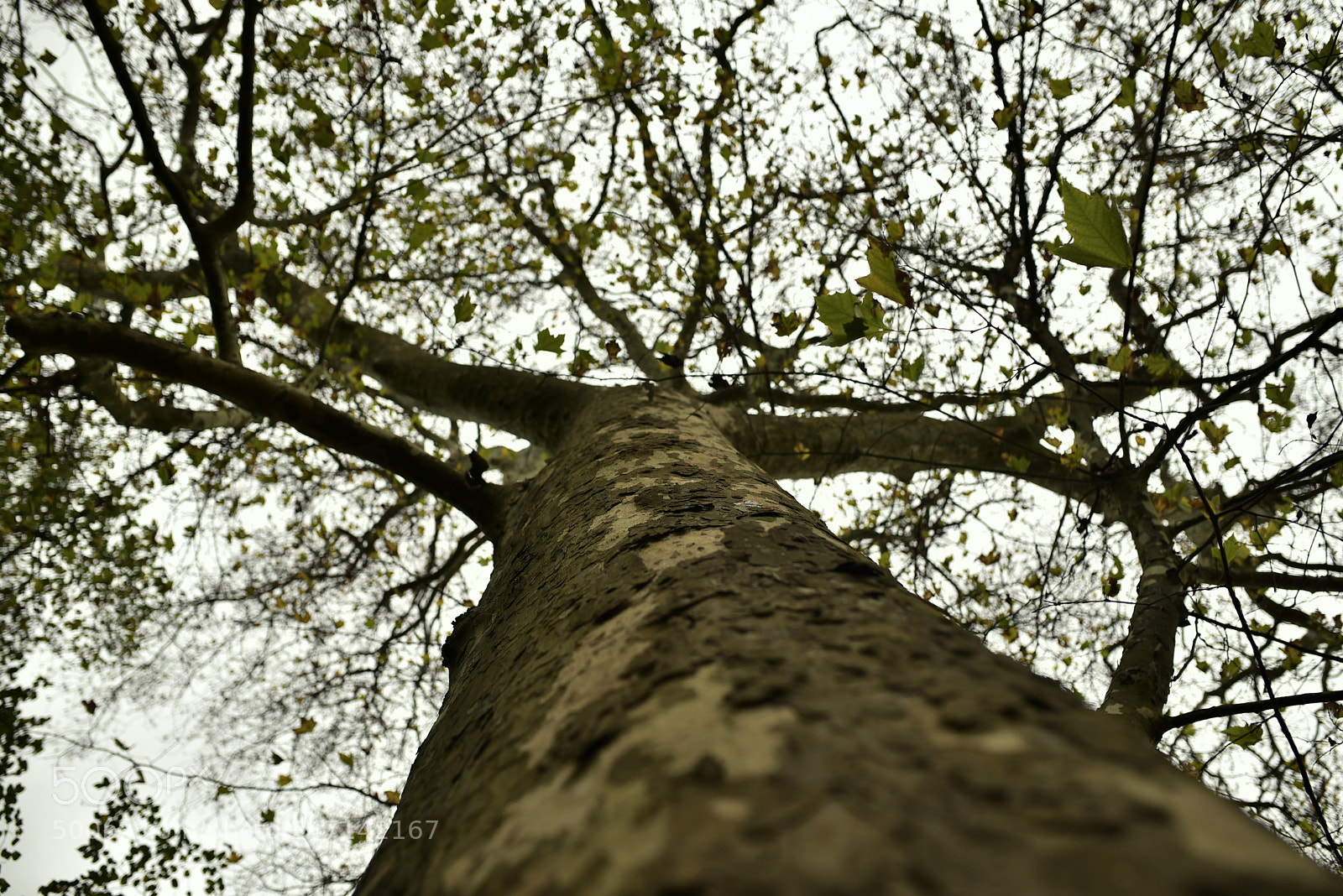 Sigma 35mm F1.4 DG HSM Art sample photo. Dsc photography