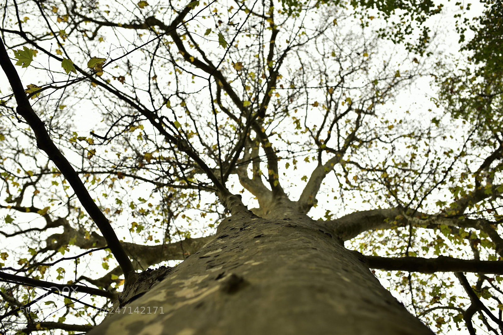 Nikon D750 + Sigma 35mm F1.4 DG HSM Art sample photo. Dsc photography