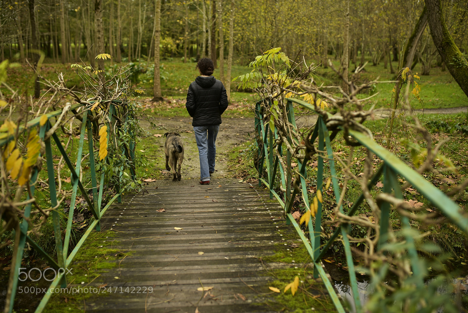 Nikon D750 + Sigma 35mm F1.4 DG HSM Art sample photo. Dsc photography