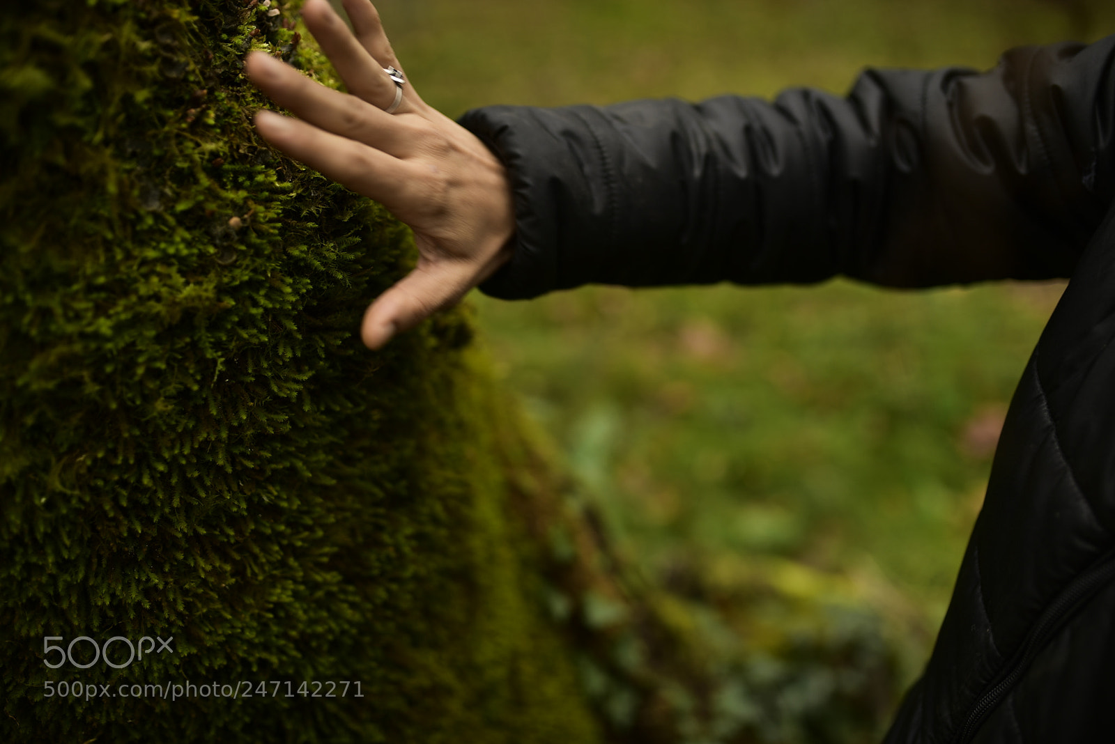 Nikon D750 + Sigma 35mm F1.4 DG HSM Art sample photo. Dsc photography
