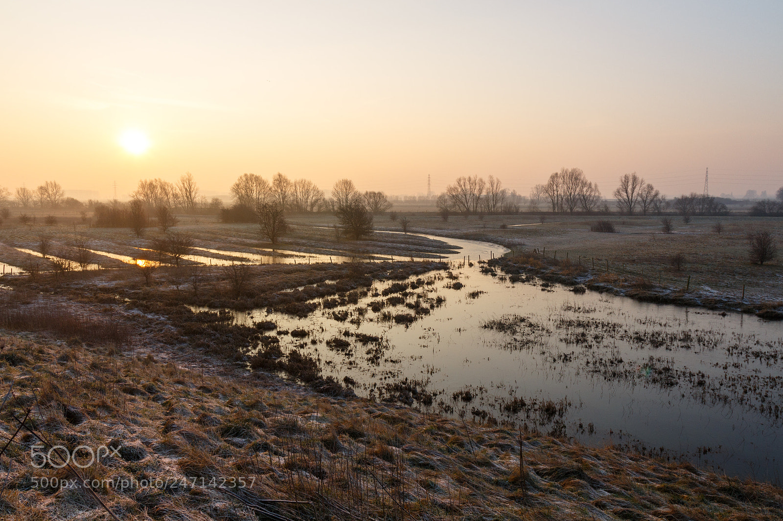 Canon EOS 700D (EOS Rebel T5i / EOS Kiss X7i) sample photo. Rijnstrangengebied photography