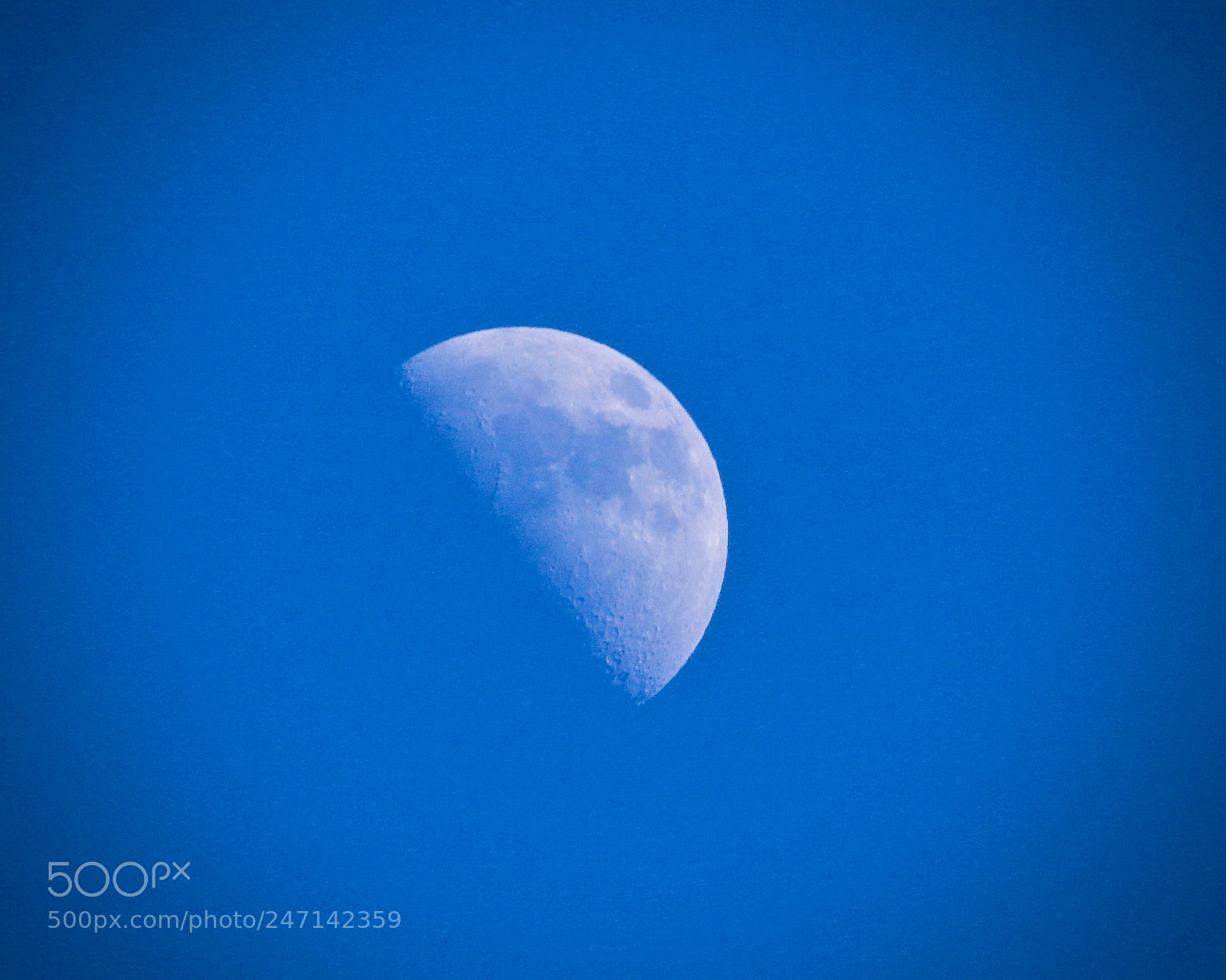 Canon EOS 7D Mark II sample photo. The moon this afternoon photography