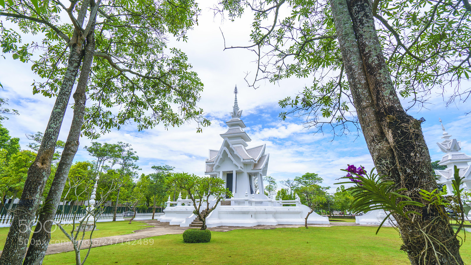 Sony a7R II sample photo. Dsc photography