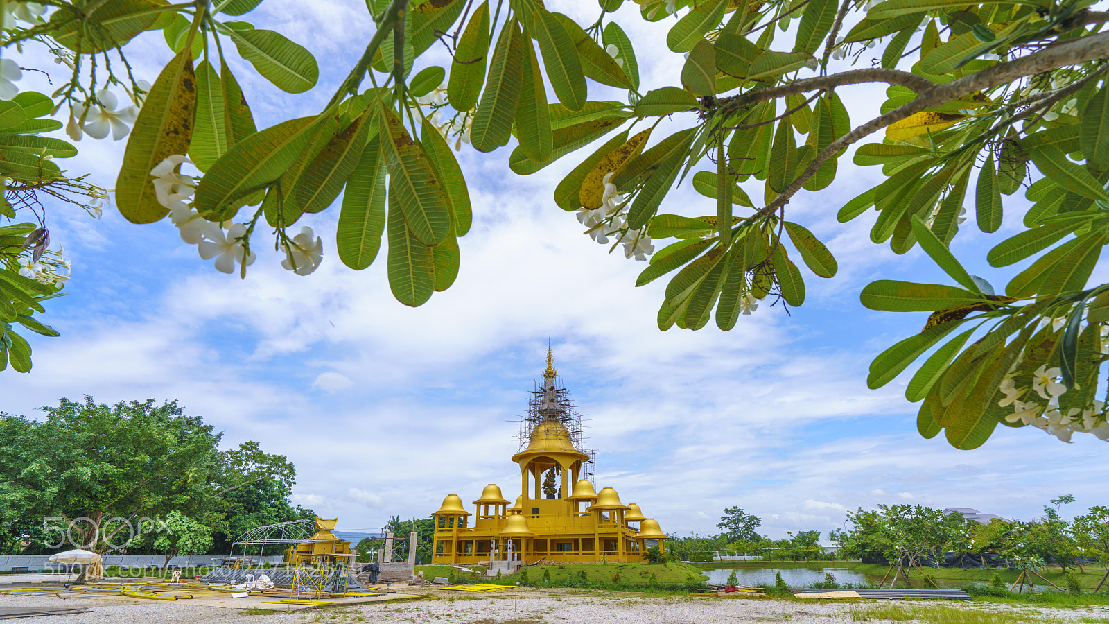 Sony a7R II sample photo. Dsc photography