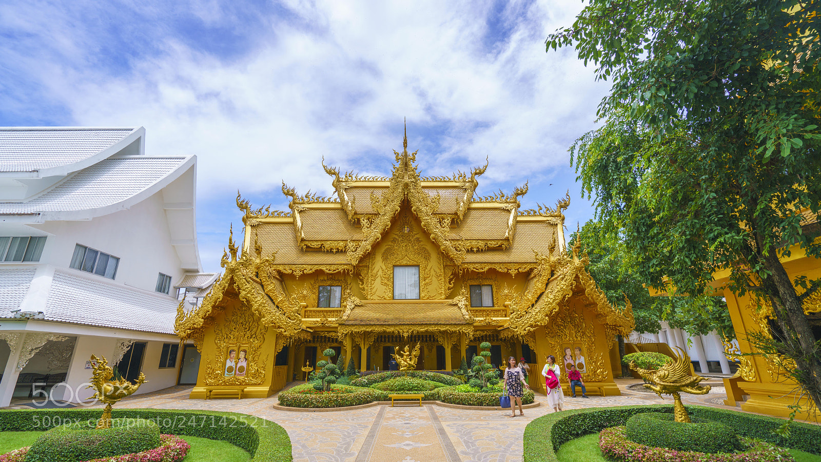 Sony a7R II sample photo. Dsc photography