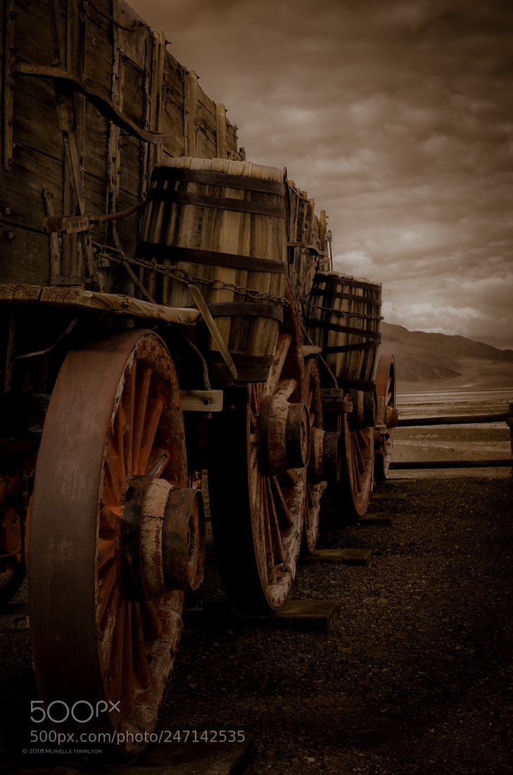 Nikon D5100 sample photo. Stuck photography