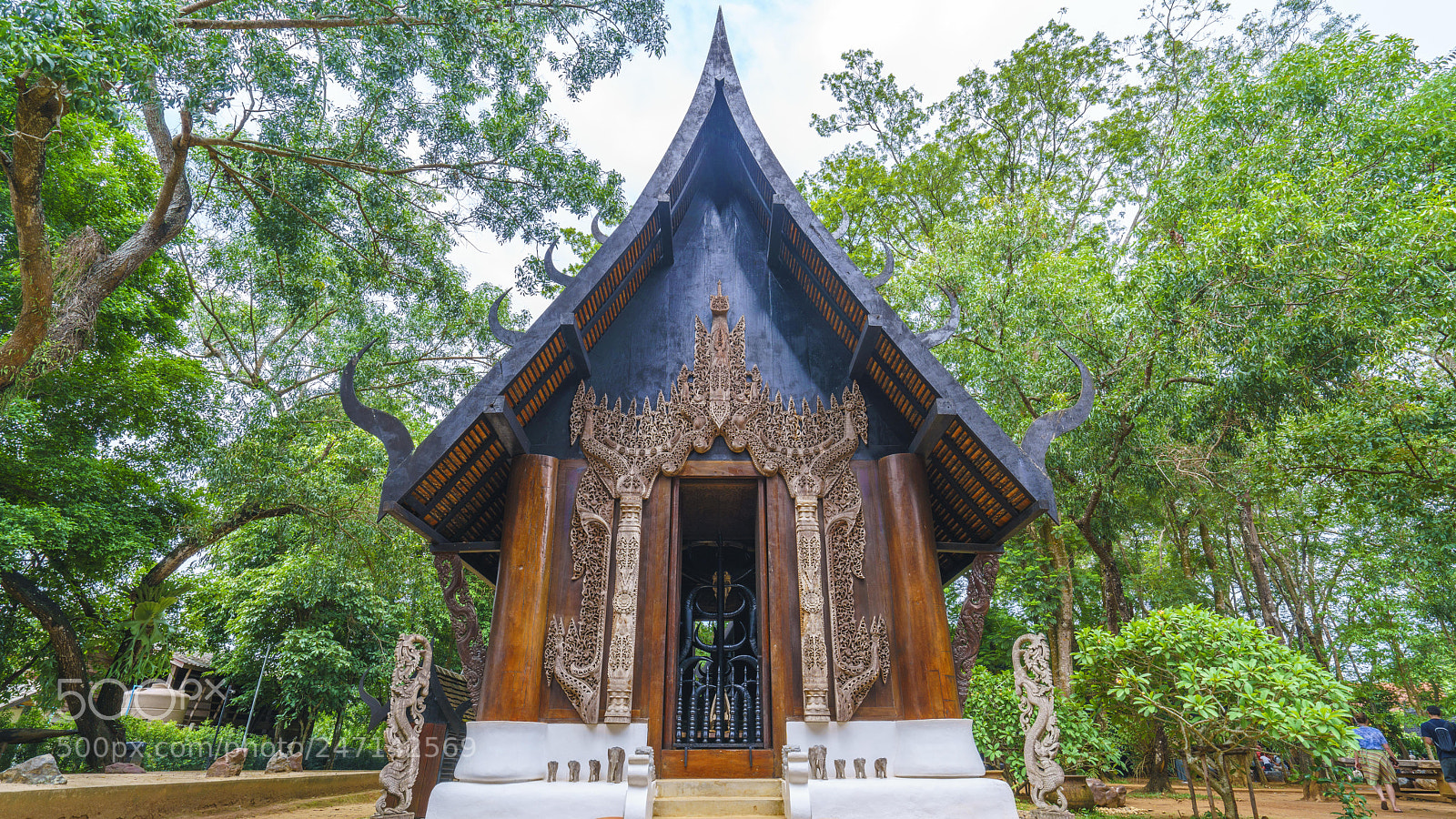 Sony a7R II sample photo. Dsc photography