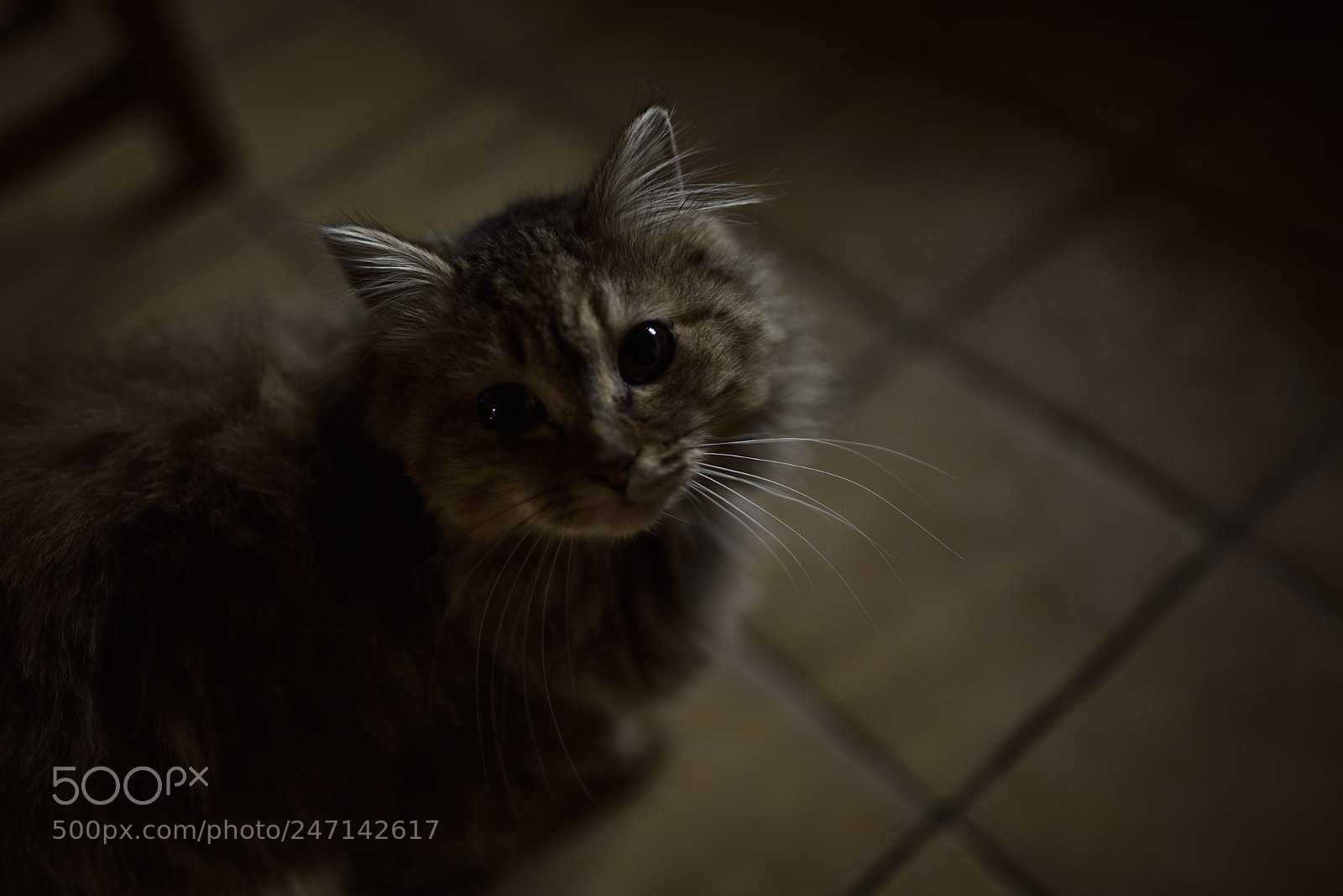 Nikon D750 + Sigma 35mm F1.4 DG HSM Art sample photo. Dsc photography