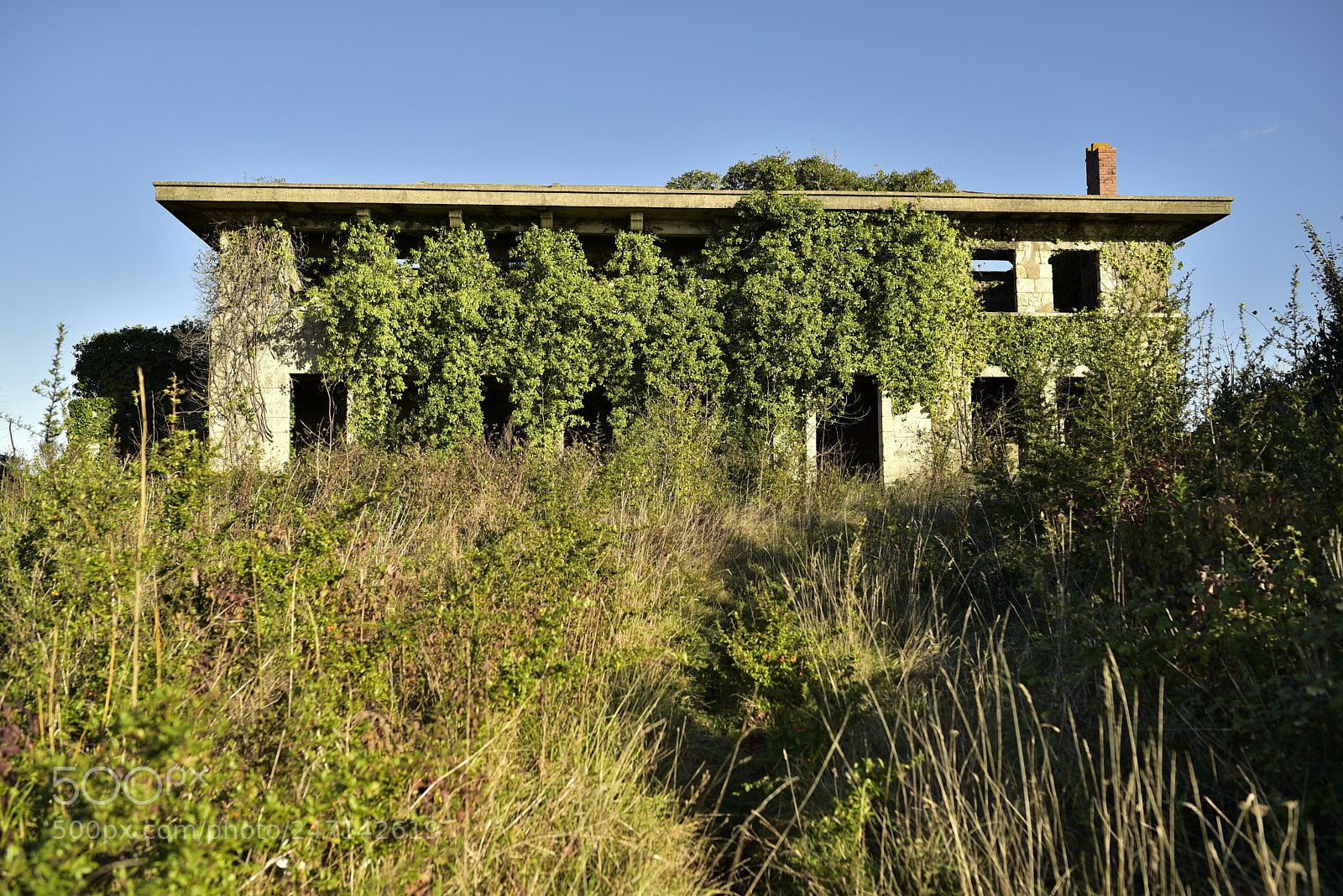 Nikon D750 + Sigma 35mm F1.4 DG HSM Art sample photo. Dsc photography