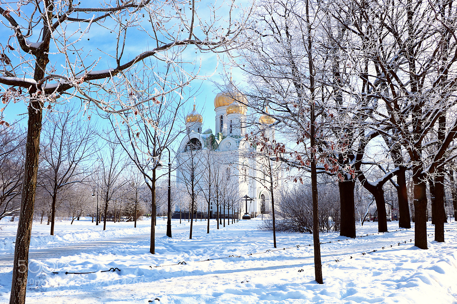 Canon EOS 750D (EOS Rebel T6i / EOS Kiss X8i) sample photo. Well, a little winter photography