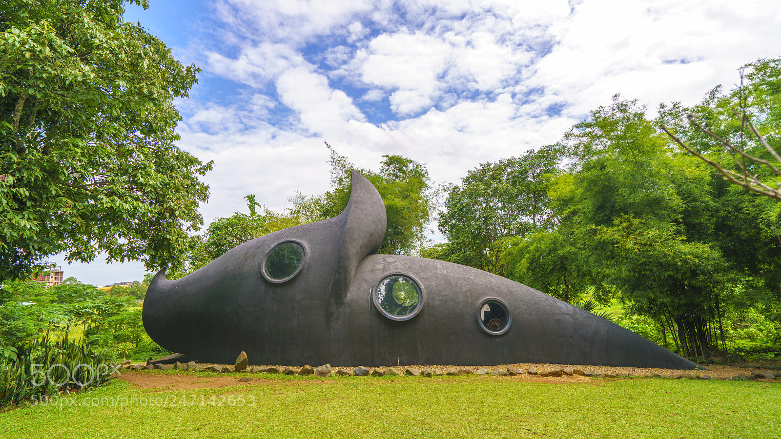 Sony a7R II sample photo. Dsc photography