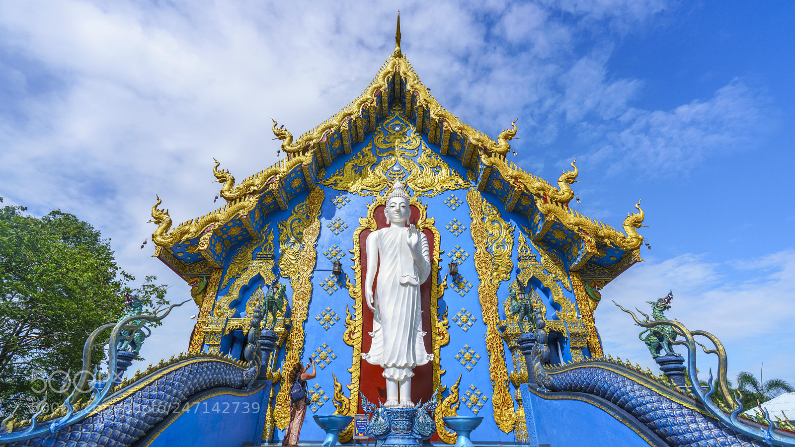 Sony a7R II sample photo. Dsc photography
