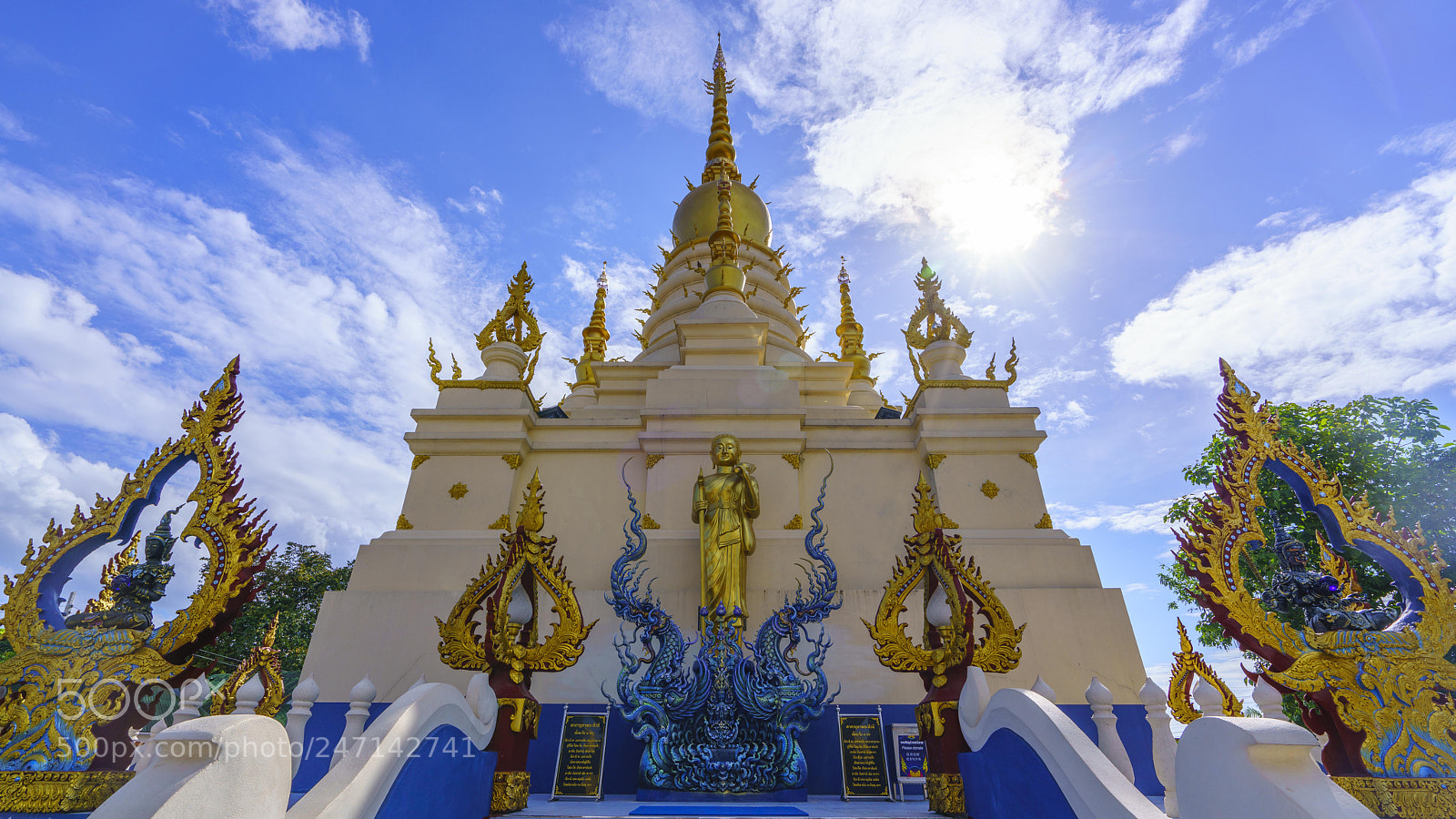 Sony a7R II sample photo. Dsc photography