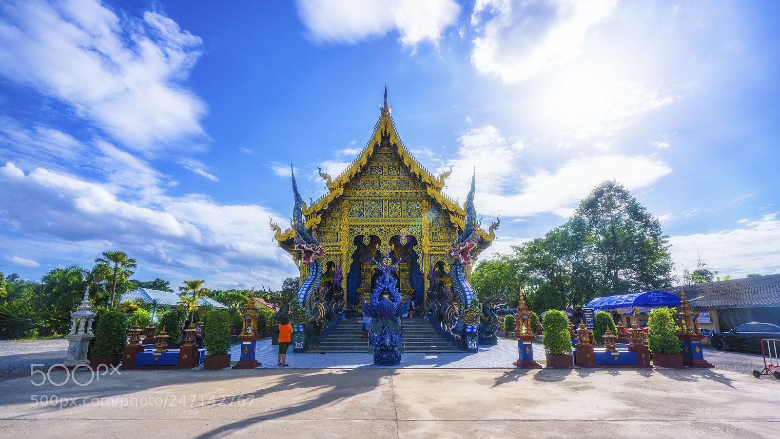 Sony a7R II sample photo. Dsc photography