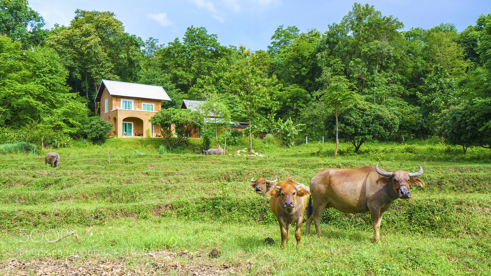 Sony a7R II sample photo. Dsc photography