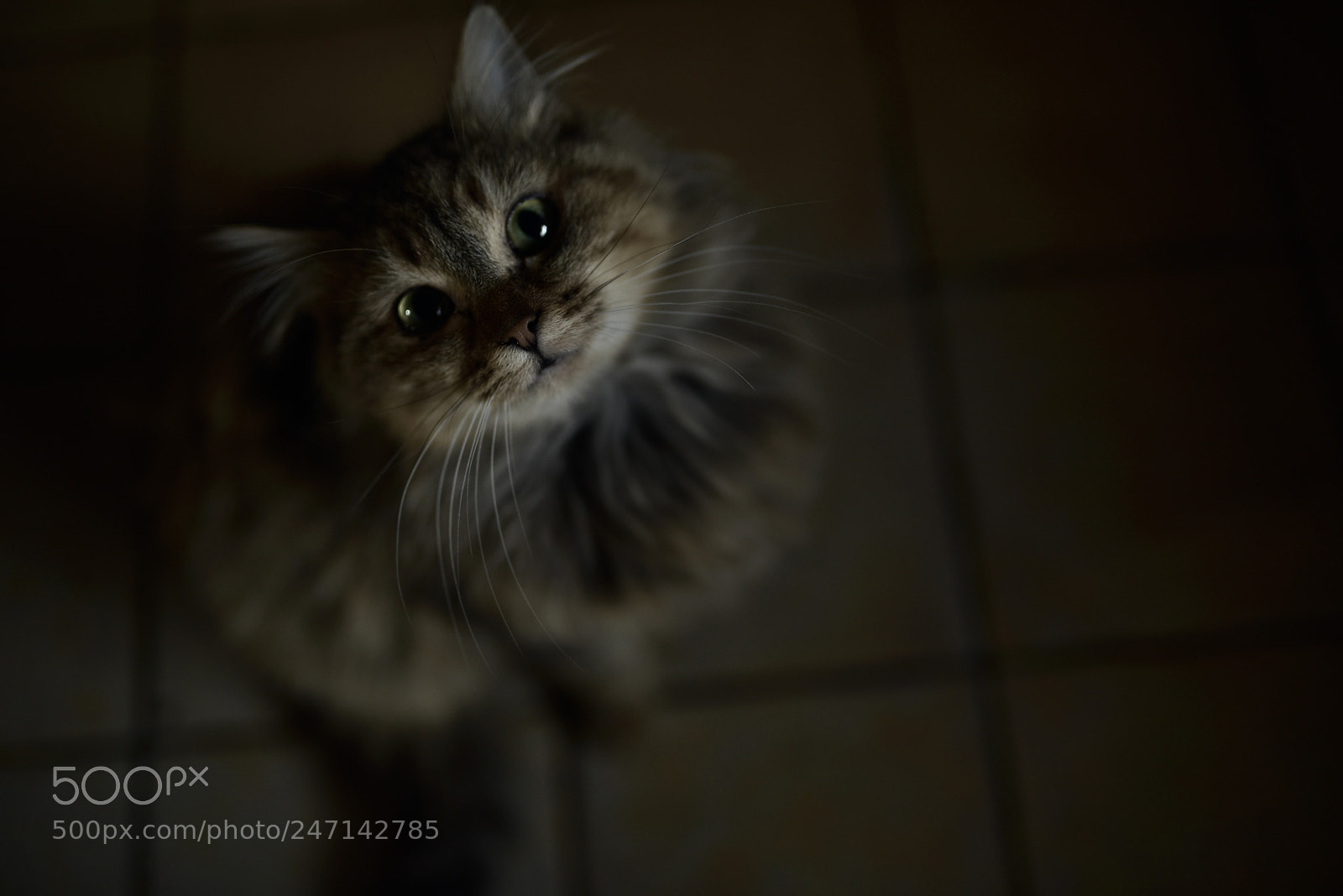 Nikon D750 + Sigma 35mm F1.4 DG HSM Art sample photo. Dsc photography