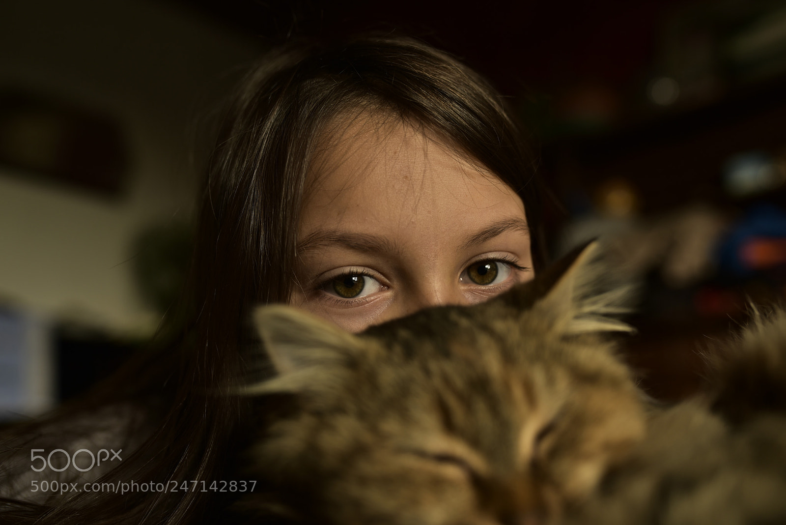 Sigma 35mm F1.4 DG HSM Art sample photo. Dsc photography