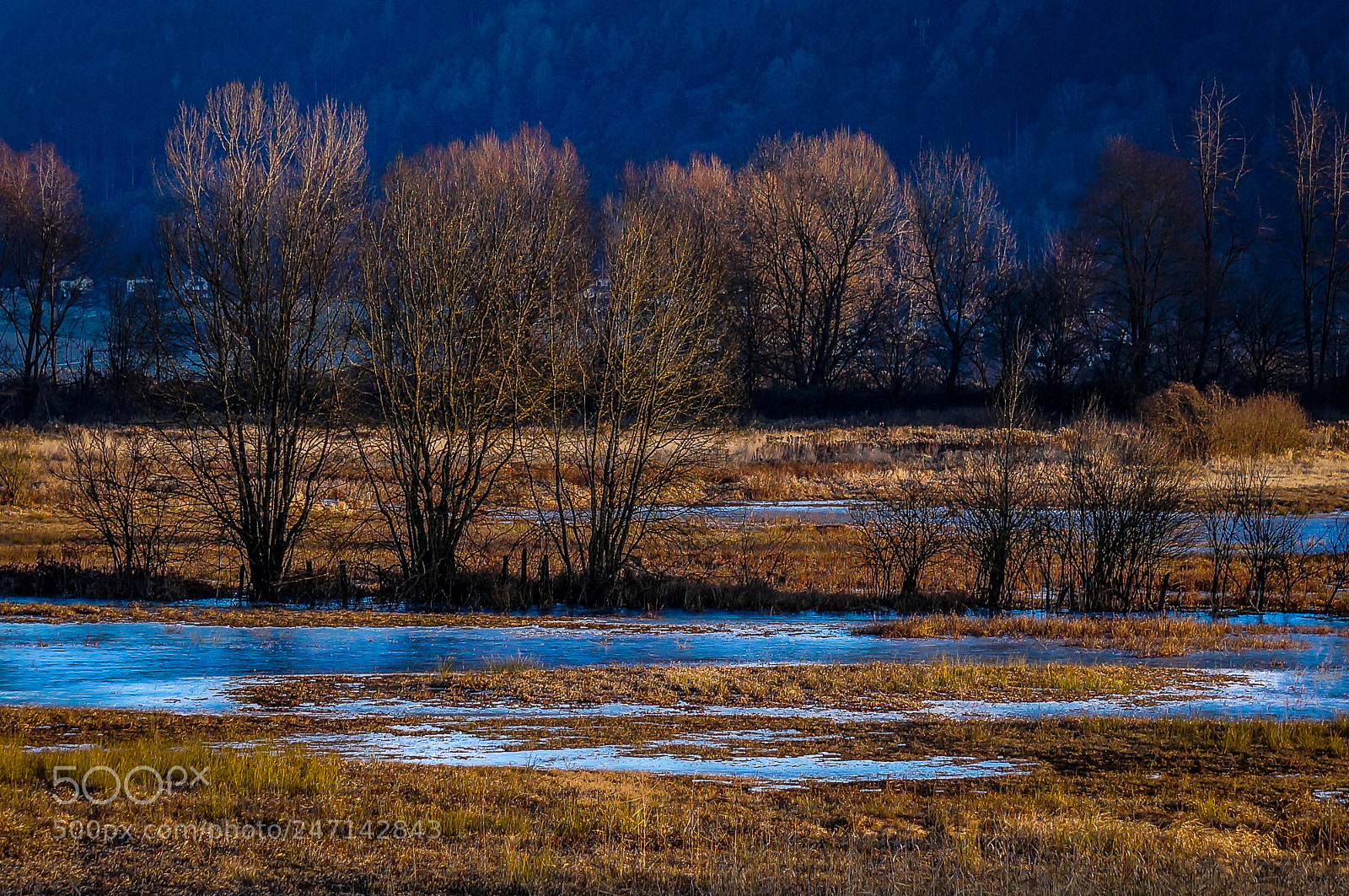 Sony Alpha NEX-3N sample photo. Frozen pond photography