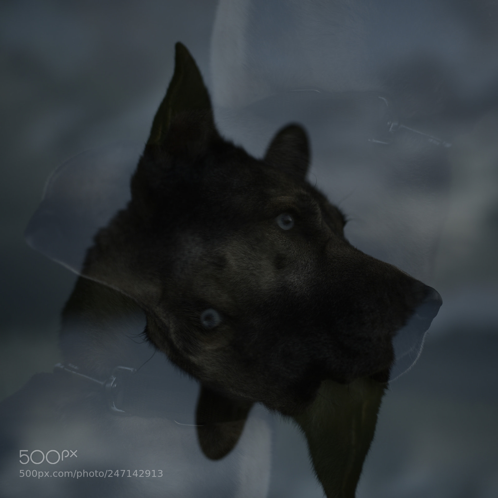 Nikon D750 + Sigma 35mm F1.4 DG HSM Art sample photo. Dsc photography