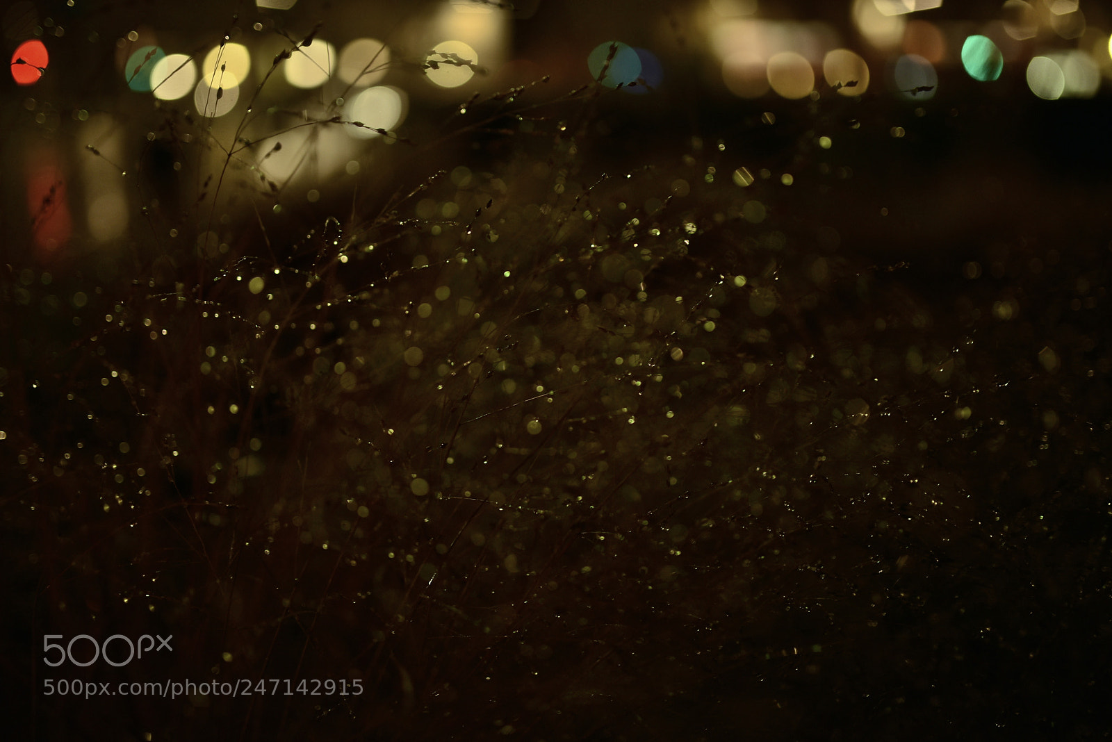 Nikon D750 + Sigma 35mm F1.4 DG HSM Art sample photo. Dsc photography