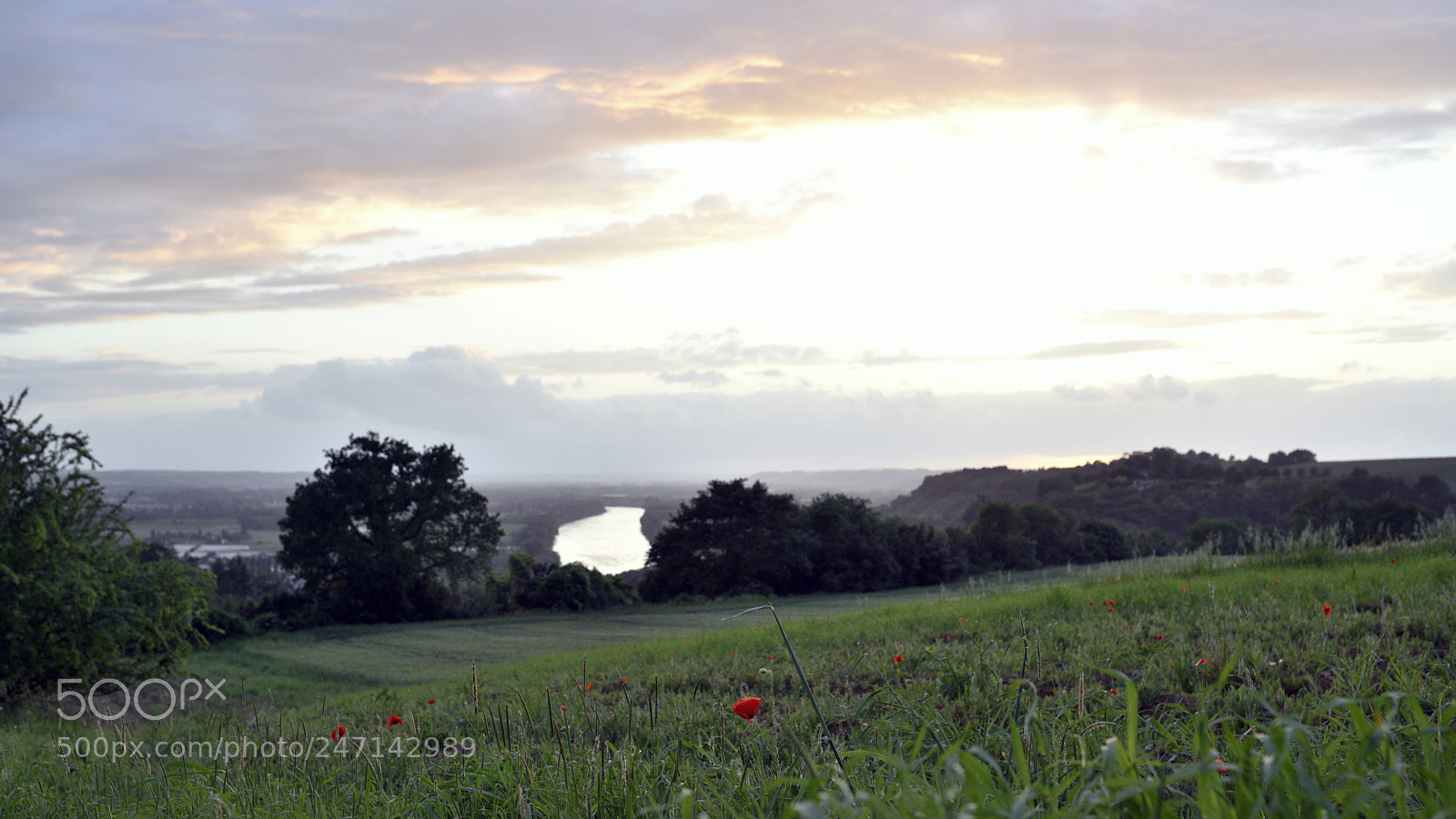 Sigma 35mm F1.4 DG HSM Art sample photo. Dsc photography
