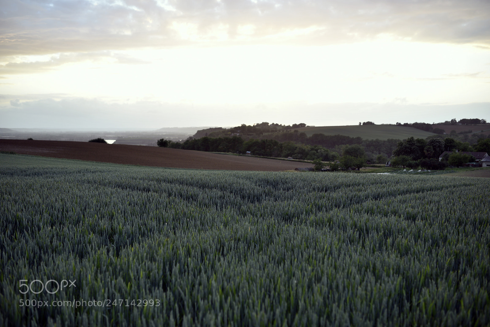 Nikon D750 + Sigma 35mm F1.4 DG HSM Art sample photo. Dsc photography